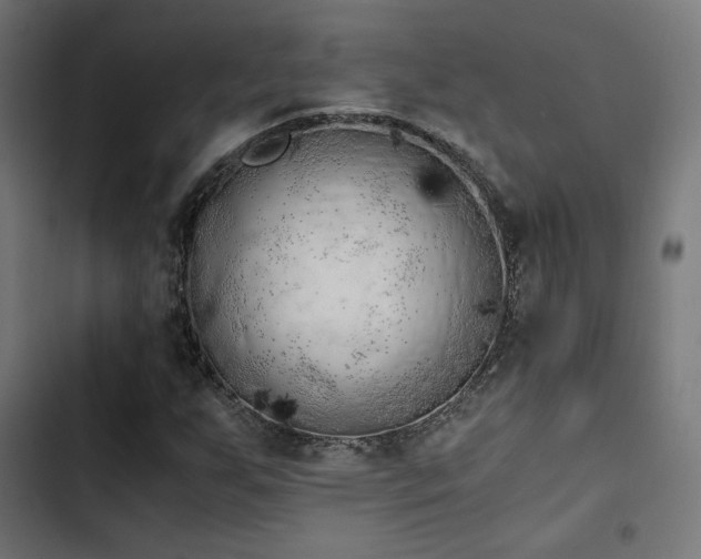 X0000103501255200809121730