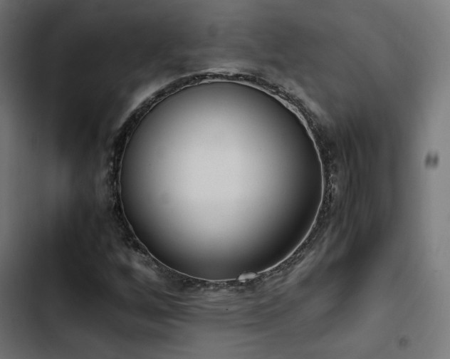 X0000103501256200809121730