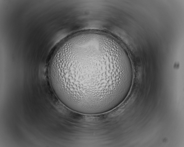 X0000103501258200809121730