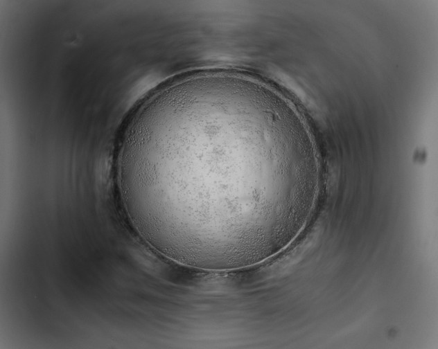 X0000103501259200809121730