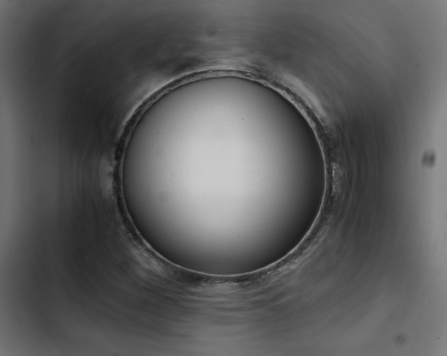 X0000103501260200809121730