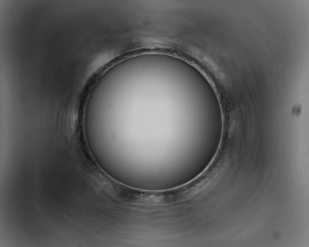 X0000103501261200809121730