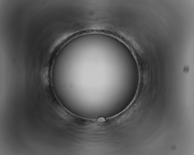 X0000103501262200809121730