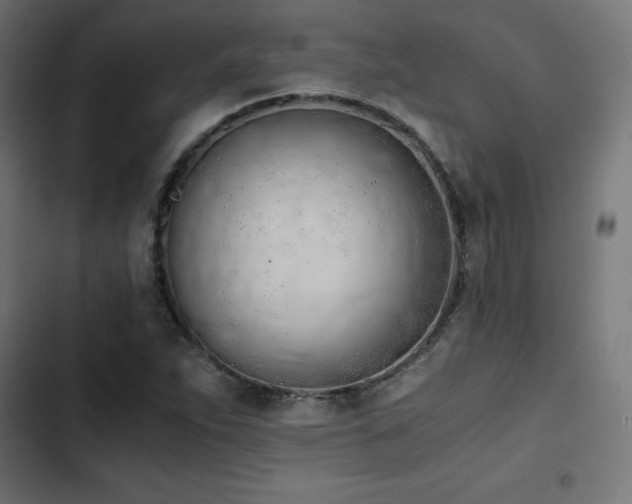 X0000103501263200809121730