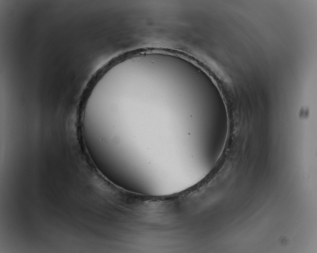 X0000103501264200809121730