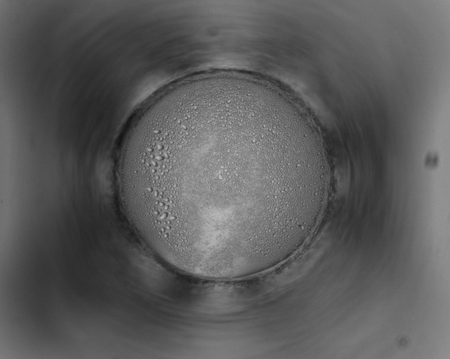 X0000103501266200809121730