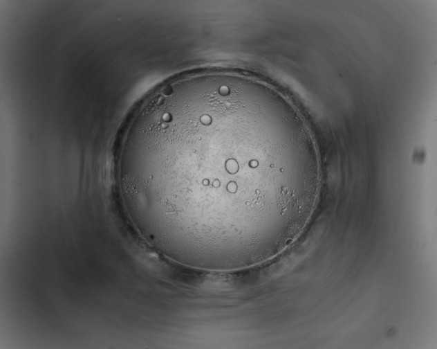 X0000103501267200809121730