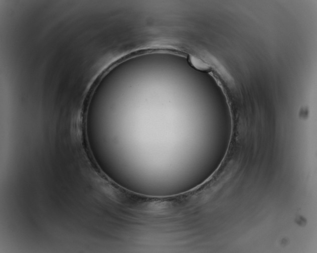 X0000103501268200809121730