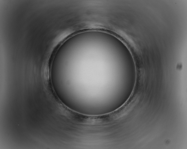 X0000103501269200809121730