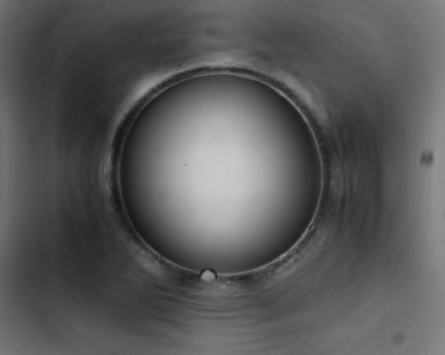 X0000103501270200809121730