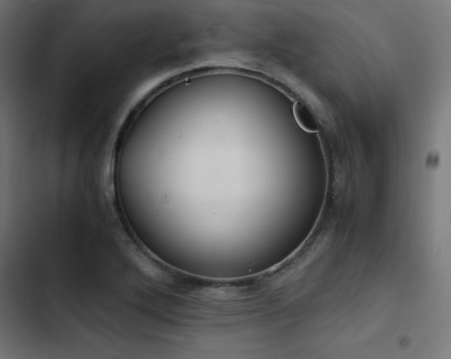 X0000103501272200809121730