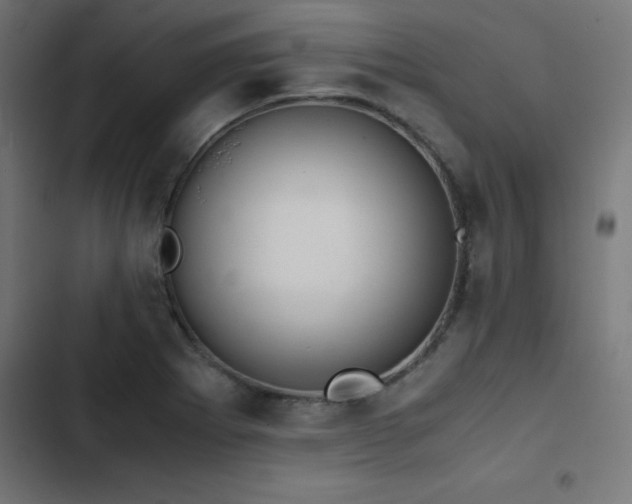 X0000103501273200809121730