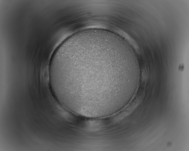 X0000103501274200809121730