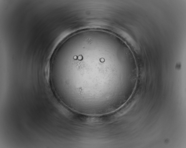 X0000103501275200809121730