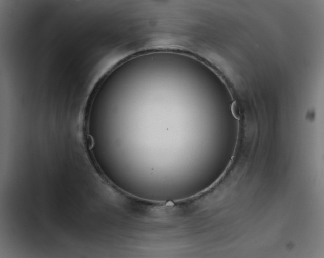 X0000103501277200809121730