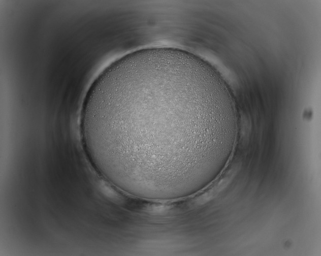 X0000103501278200809121730