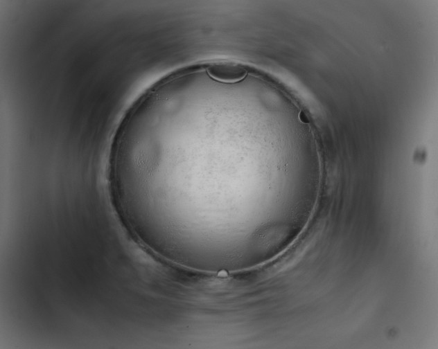 X0000103501279200809121730