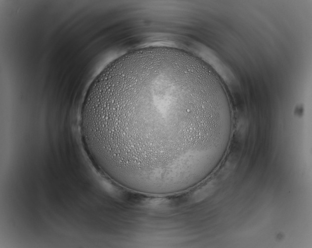 X0000103501282200809121730