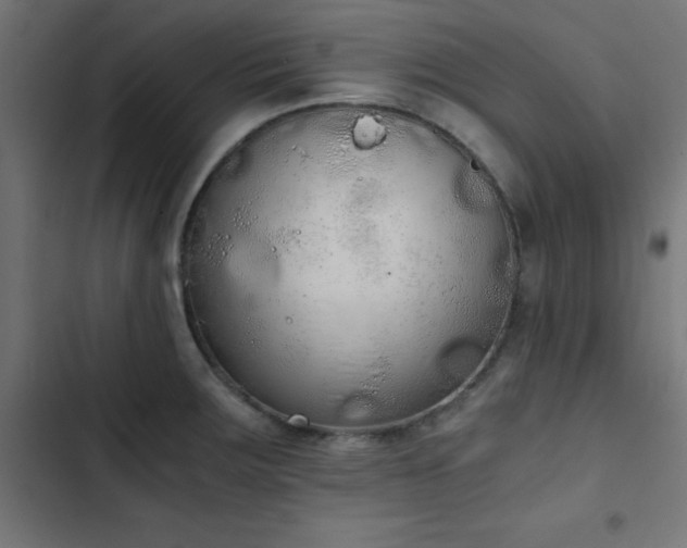 X0000103501283200809121730