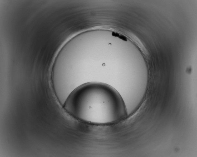 X0000103501284200809121730