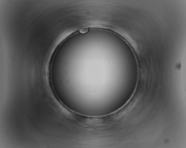 X0000103501285200809121730