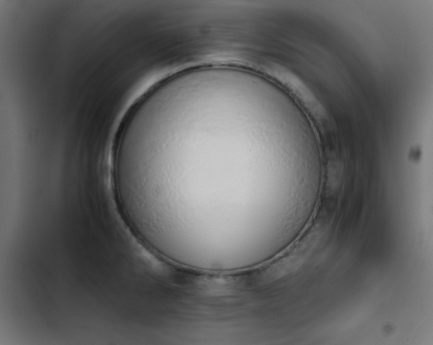 X0000103501286200809121730