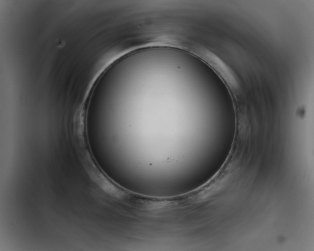 X0000103501292200809121730