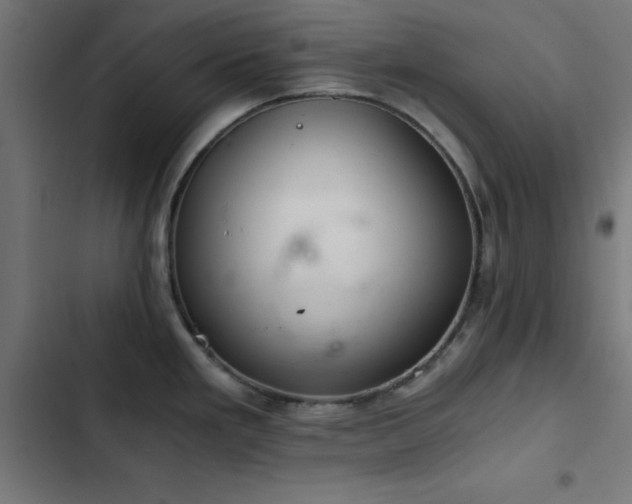 X0000103501293200809121730