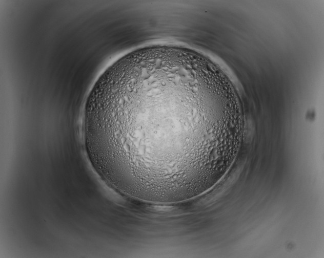 X0000103501295200809121730