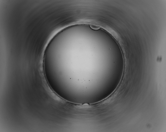 X0000103501296200809121730