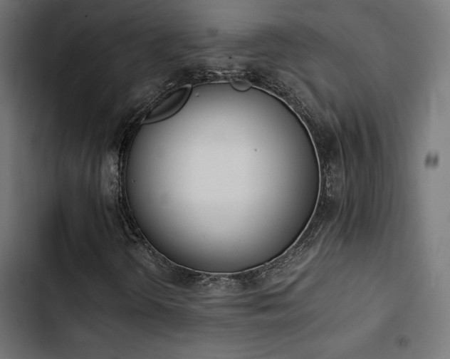 X0000103501298200809121729