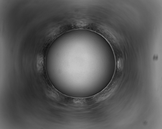 X0000103501299200809121729