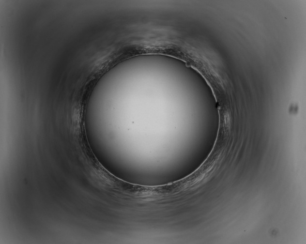 X0000103501300200809121729