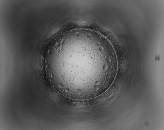 X0000103501301200809121729