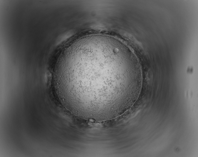 X0000103501302200809121729