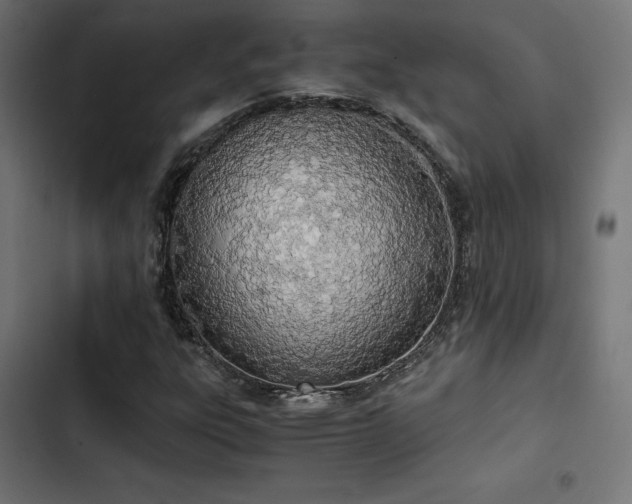 X0000103501303200809121729