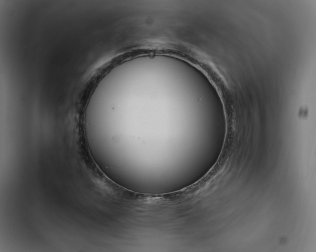 X0000103501304200809121729