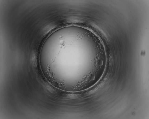 X0000103501305200809121729