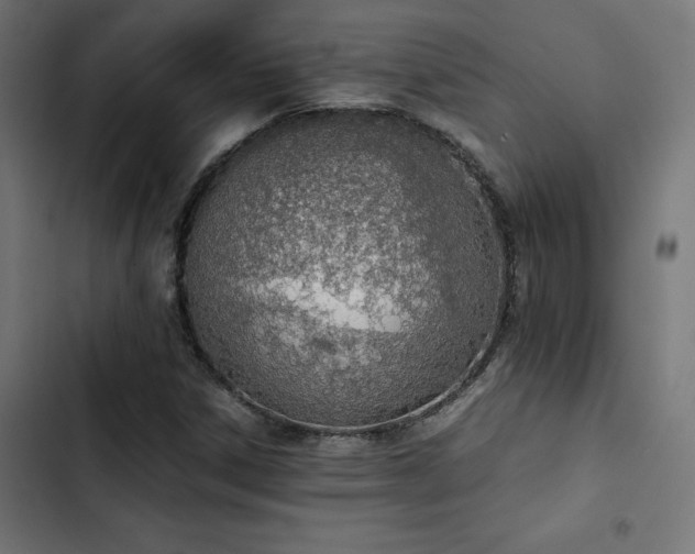 X0000103501306200809121729