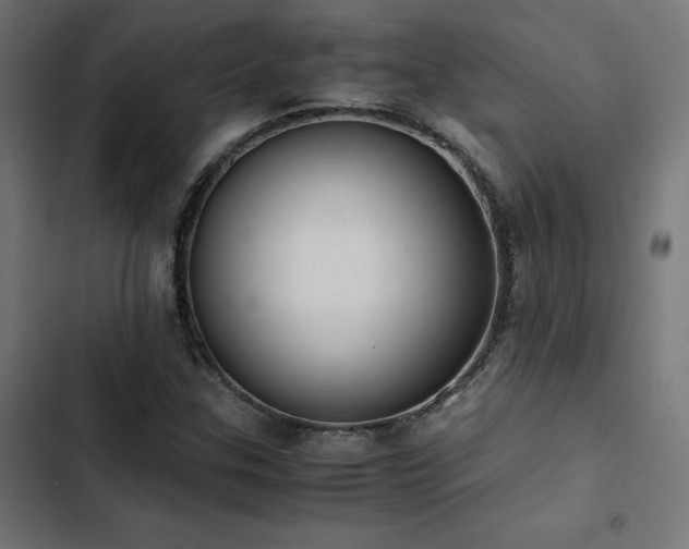 X0000103501307200809121729