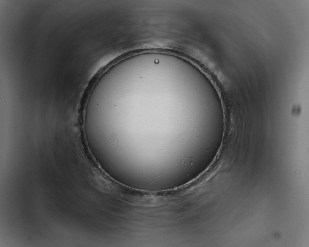 X0000103501308200809121729