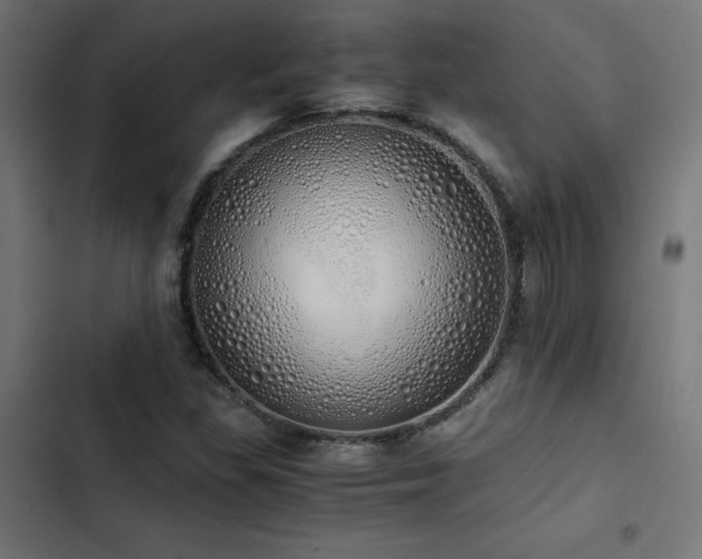 X0000103501309200809121729