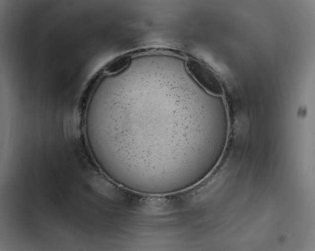 X0000103501310200809121729