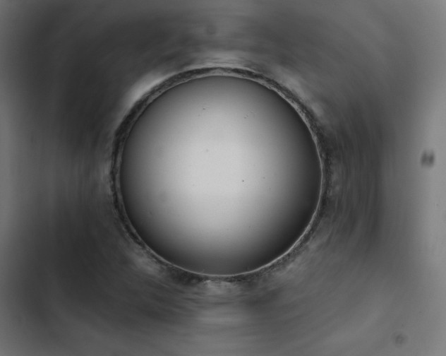 X0000103501312200809121729