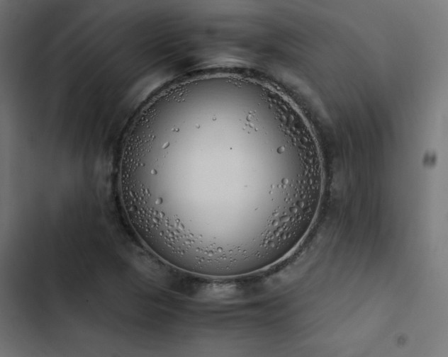 X0000103501313200809121729