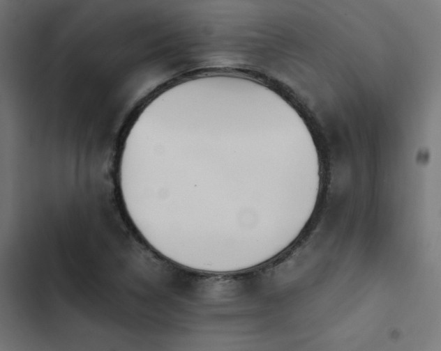 X0000103501314200809121729