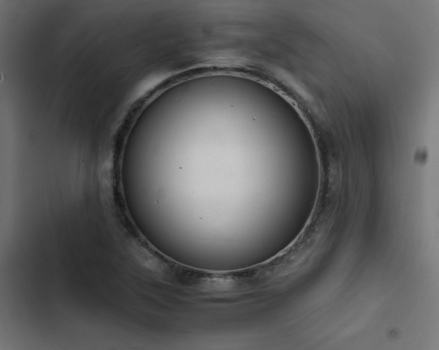 X0000103501315200809121729