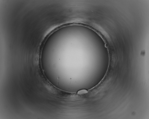 X0000103501316200809121729