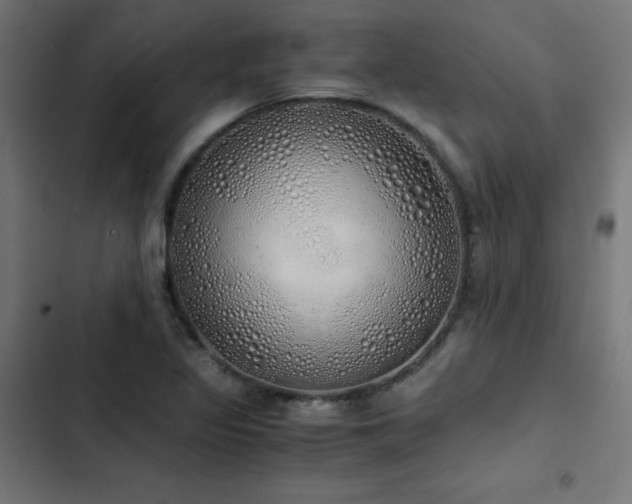 X0000103501317200809121729