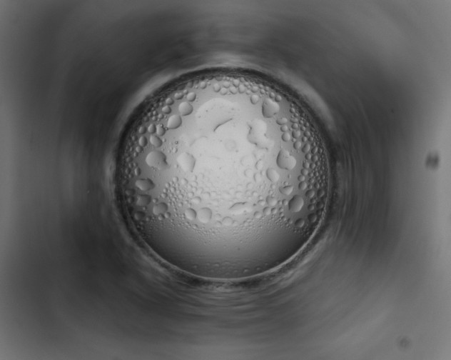 X0000103501318200809121729